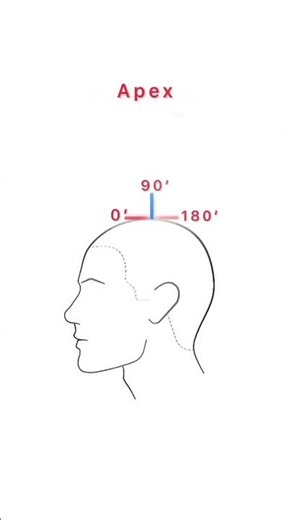 Haircut Head Shape Angles Explained | 0°, 90°, 180° Guide
