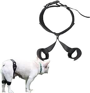 Dog Hip Joint Care - Dog Knee Brace Dog Hip Joint Brace ，Dog Double Rear Leg Brace，Joint Warps Support Help with Hind Legs Injuries Sprains Arthritis Torn