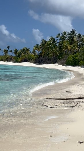 Tufa Island’s beauty knows no bounds. From stunning waters to pink beaches and towering palm trees swaying in the breeze. . . @svsugarshack @christine.mitchell4 #tufaisland #rongelap #rongelapatoll #marshallislands #marshallislands🇲🇭 #rmi #beaches #ocean #palmtrees | Christine Caroline Mitchell