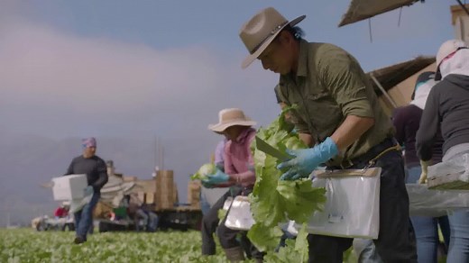 For the Fighting Irish, “What would you fight for?” isn’t just a question—it's a call to action. Explore how Notre Dame is fighting to solve the world’s toughest challenges in this season’s "What Would You Fight For?" stories. | University of Notre Dame