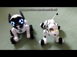 Zoomer and CHiP Comparison