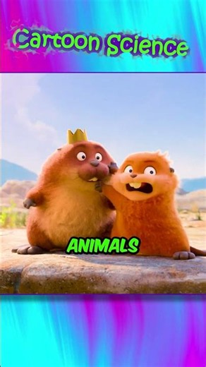 The Turtle and the Duck Are Lying in the Disney Movie