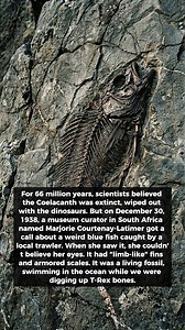 The Matrix Unlocked on Reels