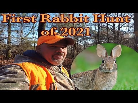 First Rabbit Hunt of 2021!