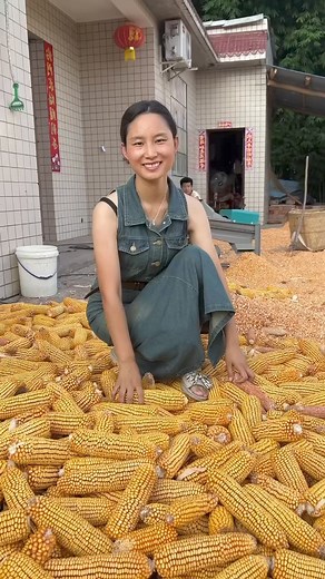 9.2K views · 79 reactions | Mini corn sheller ,1500kg/hour capacity | Backbone machinery | Facebook