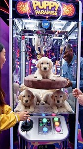 They Put a Real Puppy in a Claw Machine?! 🐶😱