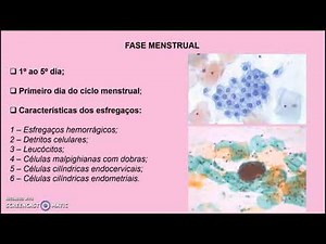 [Lesson 02] Hormonal Cytology