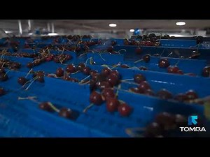 TOMRA Food Small Fruit Sorter cherry sorting machine