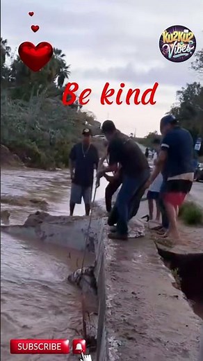 Heroic Rescue Saving a Horse From Near Death!