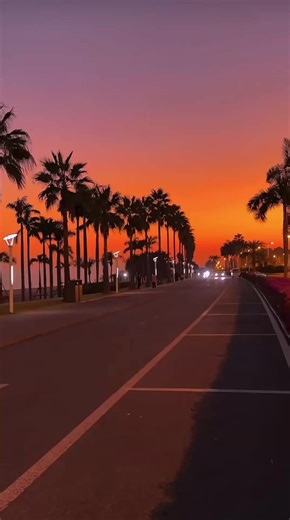 Embrace the Aesthetic: Tumblr Summer Vibes