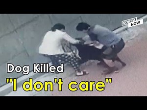 "I wanted my dog to be comfortable" Rottweiler without muzzle killing Spitz raises controversy