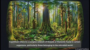 Capillitium in biology