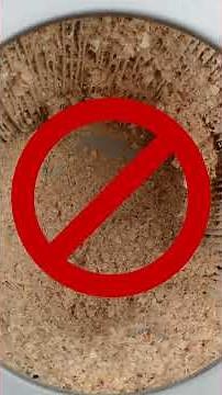 Buying a DUST Collector? WATCH THIS FIRST!