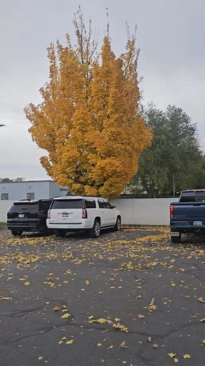 Fall is here!! Hopefully winter stays away for a while. | Jeremy Williams | Facebook