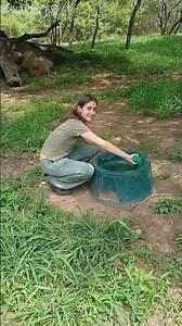 WCE Full and Half Day December Programmes