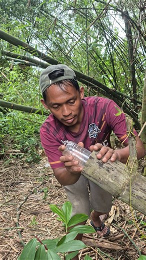 Catching a parakeet with a bottle #shorts #animals