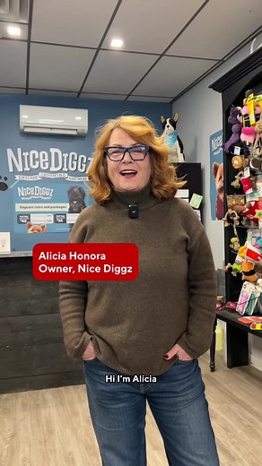 Dog Daycare and Grooming Services in Toronto