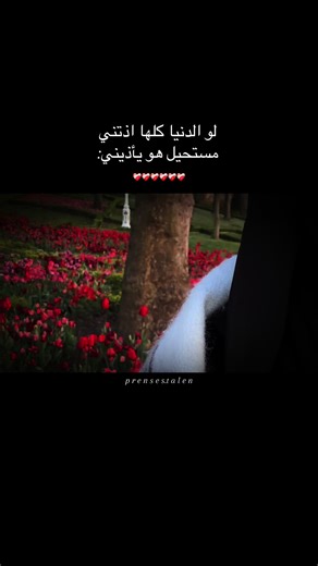 محتوى مجرد ترند: عباراتكم الفخمة وتصويري الاحترافي