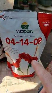 THE IMPORTANCE OF INTERCALATING FERTILIZATION ON OUR FRUIT TREES!! @Nutriplanoficial #fruittrees