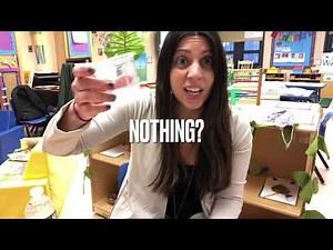 Science - Gingerbread Man Experiment