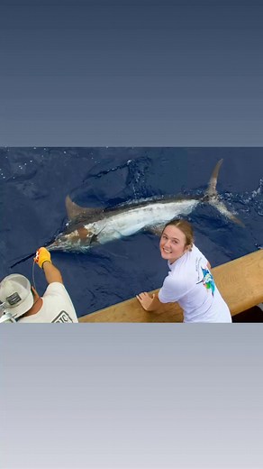 Marlin Magic Sport Fishing Hawaii on Reels