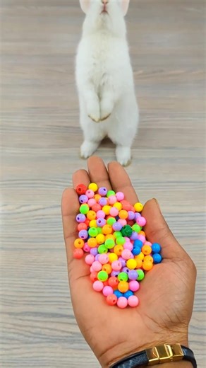 🐇🌈 Marble Beads Reverse Videos ASMR 🐰🌹 #reverse #ytshorts #shorts #asmr #satisfying #marble