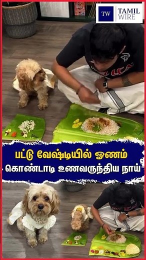 பட்டு வேஷ்டியில் ஓணம் கொண்டாடி உணவருந்திய நாய் #Kerala #Onam #onamcelebration #OnamCelebrations2025