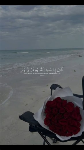 #قران_كريم #راحة_نفسية #تلاوة #اكسبلور