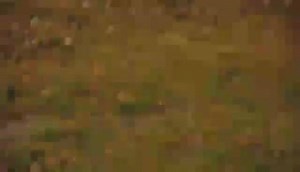 Power slide gatebil escort gr.a | OPPLIGER MOTORSPORT Cosworth specialist