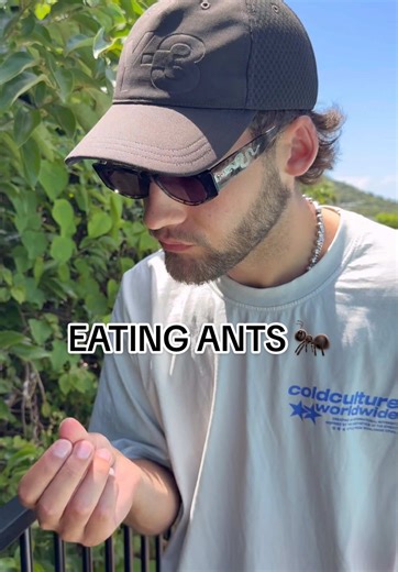 EATING ANTS: 25g of Protein per Ant!