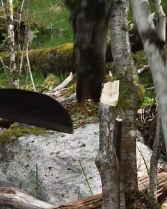 A knife for a life! Hardest blade, we ever made and razor sharp, every single knife is handforged 🔥🤠🔥 👉 https://bit.ly/3bfcj4i | Fire Kitchen