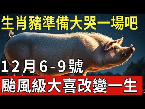 生肖豬準備大哭一場吧！12月6-9號，颱風級大喜或將改變你的一生！|福運生肖 #生肖 #運勢 #風水 #財運 #命理