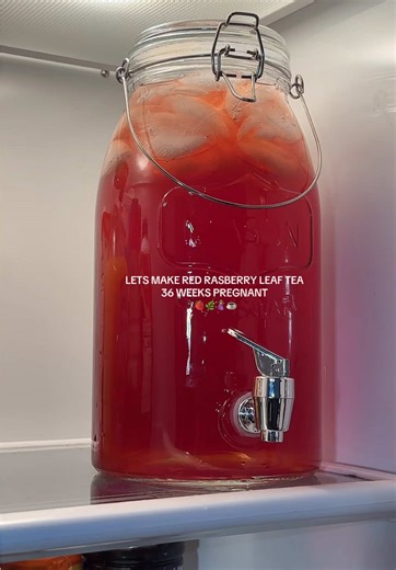 Red Raspberry Leaf Tea Recipe for Pregnancy Preparation