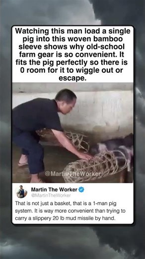 THE PERFECT BAMBOO PIG CARRIER