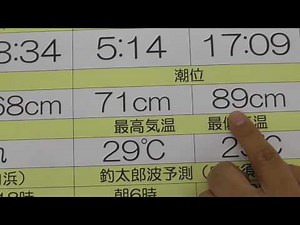 【海釣り初級入門】魚釣りと潮周りの基本的な説明 和歌山 釣太郎