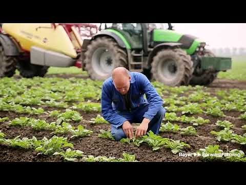 Digital Farming at Green Heart Farm | Bayer