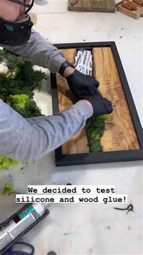 What adhesive works best to attach living Moss to wood!?