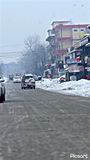 Exploring the Heat of Red Chili Varieties