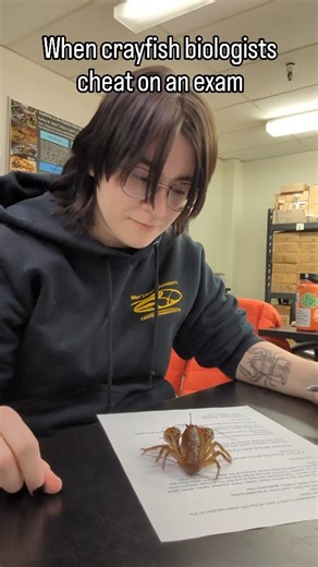 WLU Crayfish Lab on Instagram: "If only our crayfish knew the answers to everything... Everyone at the university is preparing for final exams, and we were hoping that our crayfish would be able to help us study. Good luck to everyone taking exams next week! #trending #crayfish #biology #wlu #conservation #science"