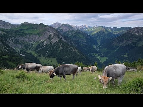Bad Hindelang im Allgäu - Wo die Seele der Alpen zuhause ist