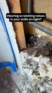 Hearing scratching noises in your walls at night? This might be why… Comment “SMOKE” & we’ll DM you the smoke candles! | Rodent Stoppers
