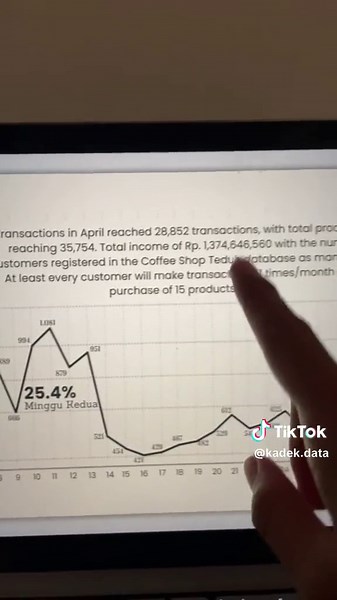 Data Analyst Portfolio Review