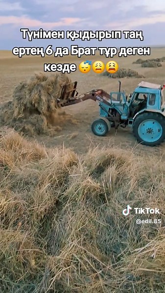 #врек шөп шабу