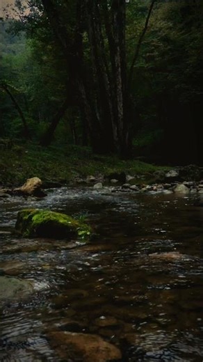 Water Over Pebbles | Soothing ASMR Short 💧