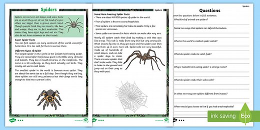 Spiders Differentiated Reading Comprehension Activity