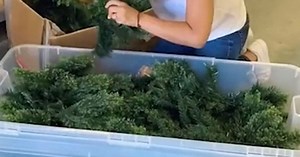 This bargain Christmas tree storage box will make unpacking and packing every year so much easier