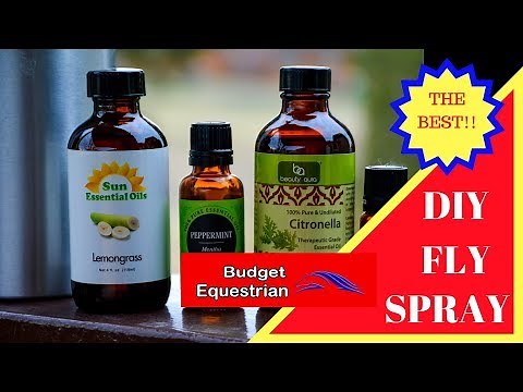 DIY Fly Spray For Your Horse - Best Recipe!
