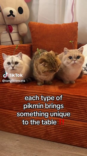 Exploring the Unique Traits of Each Pikmin Type