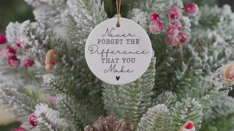 Ring Battery Doorbell (newest model), Home or business security with Head-to-Toe video, Live View with Two-Way Talk, and Motion Detection & Alerts, Satin Nickel