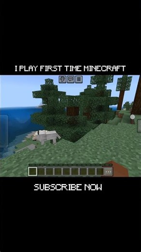 MY FIRST MINECRAFT GAMEPLAY 🔥 #minecraft